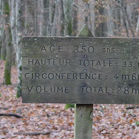 ホテル Magnette 3*