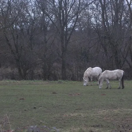 Magnette ホテル 3*