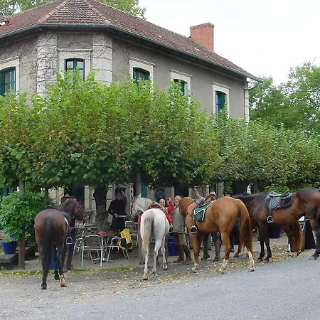 Отель Magnette Audes